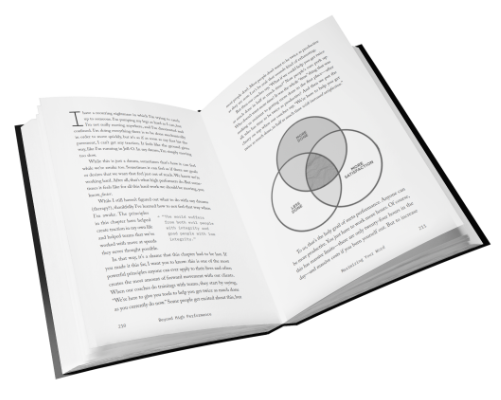 About the book